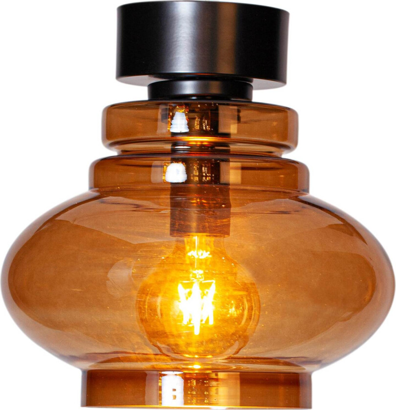 Dolores konjak 4202200-5512