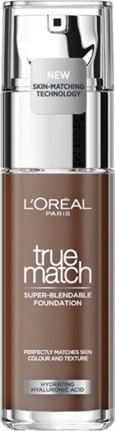 L'Oreal Foundation True Match Dark Coffee 11N