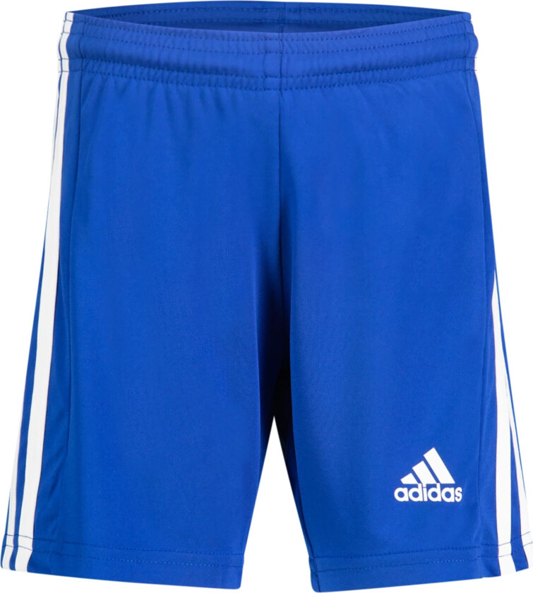 adidas Squadra 21 Short, fotballshorts, junior Royblu/white