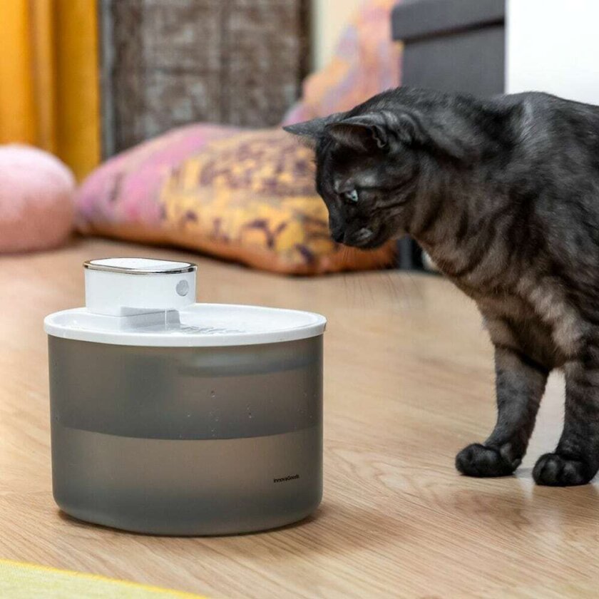 Drikkefontene katt/hund med sensor - oppladbar