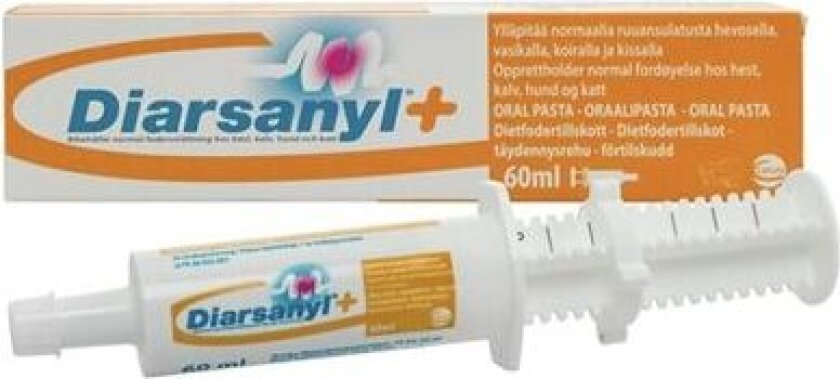 + pasta 24 ml