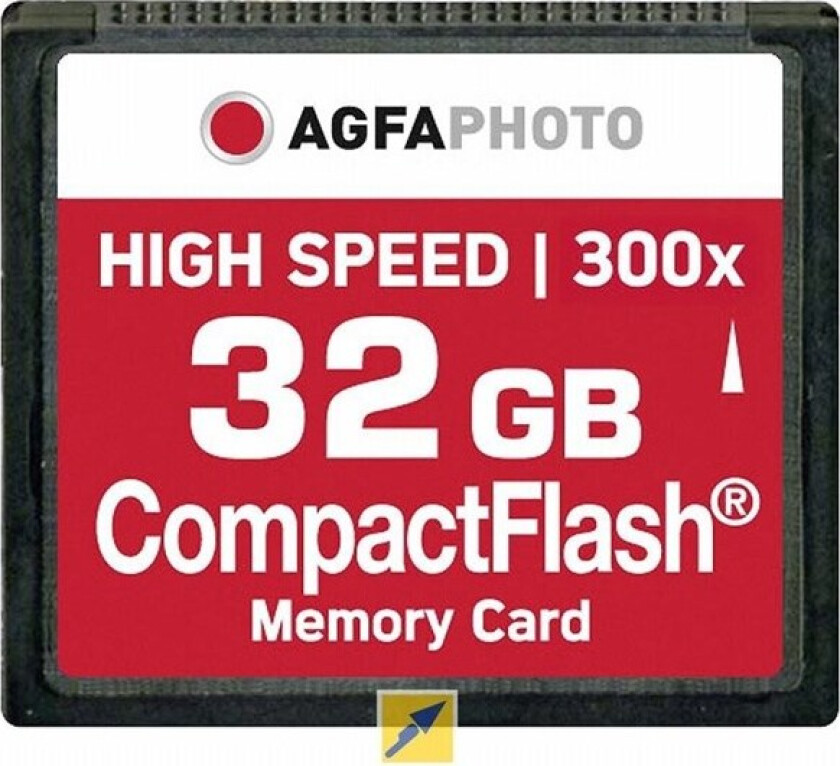 Photo - flash memory card - 32 GB - CompactFlash