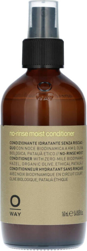 No-Rinse Moist Conditioner 160 ml