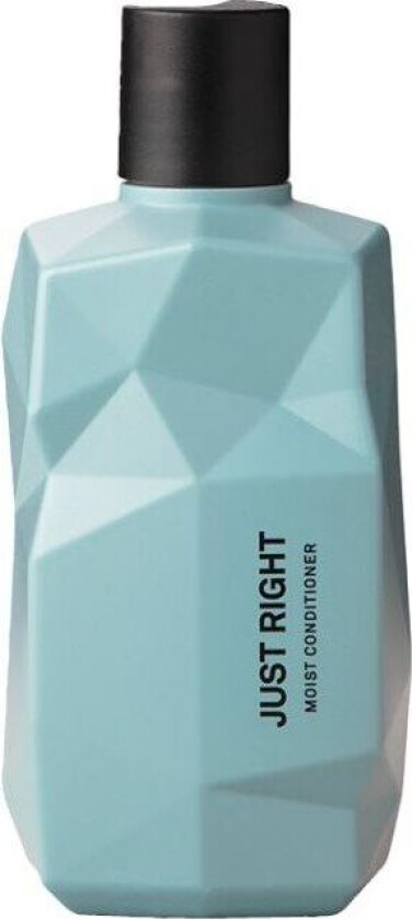 Just Right Moist Conditioner 300 ml