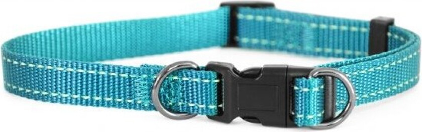 Dogman Nylonhalsbånd Iris Turkos (38-66 cm)