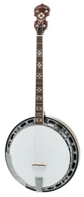 TS-250 Tenor Banjo w/Case