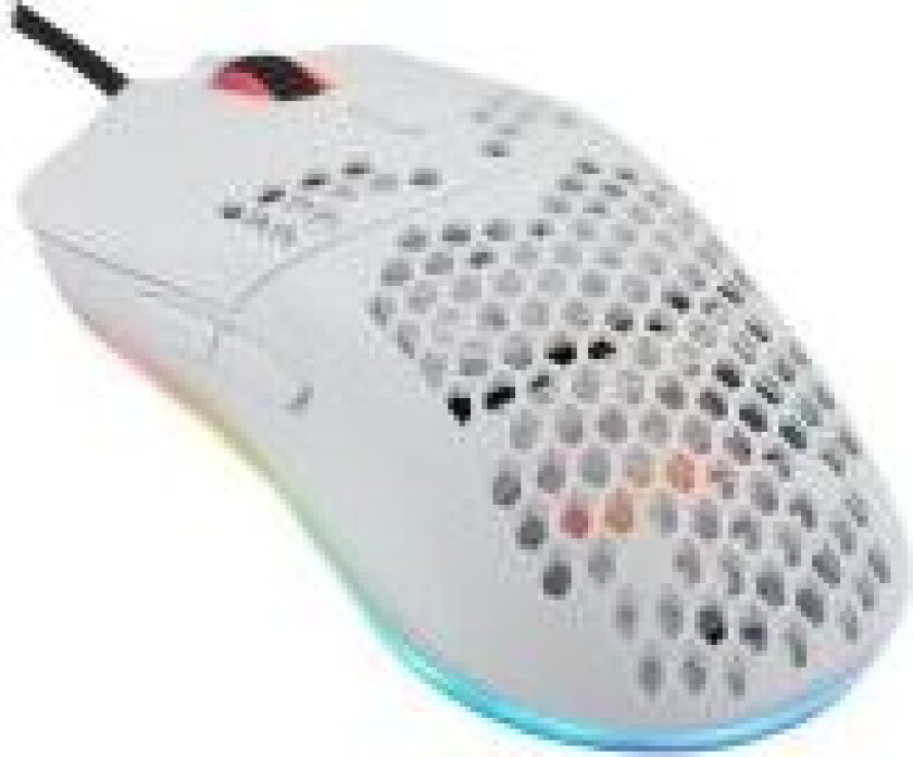 Fourze GM800 - Mus - 5 Knapper - USB - Hvid