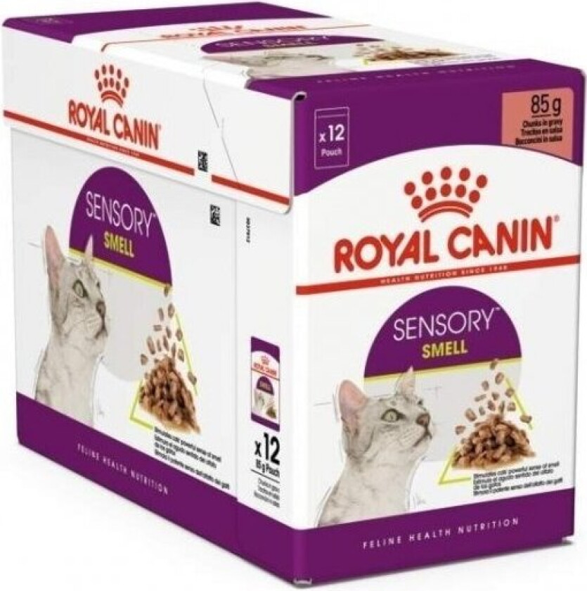 Royal Canin Sensory Smell 12x85 g
