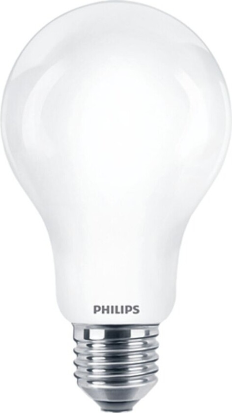 E27 frostet lyskilde 17,5 W 2452 lumen