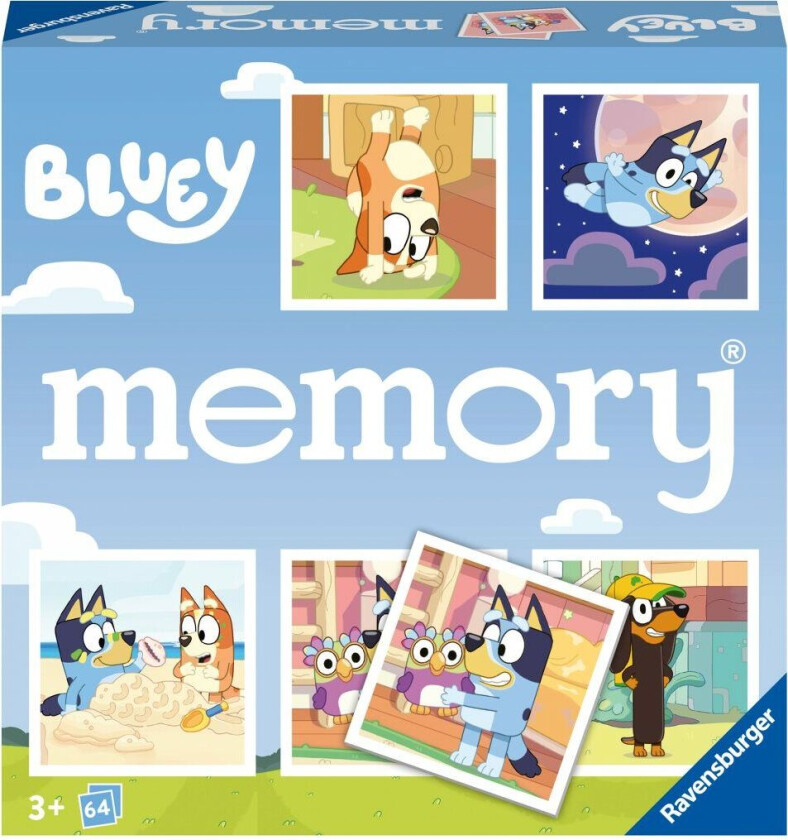 Spill Bluey Memory