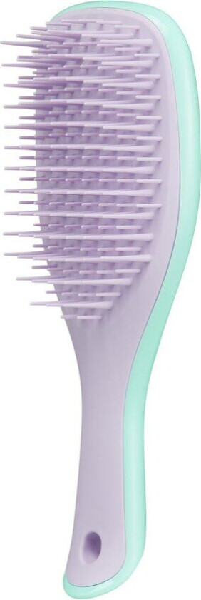 Bilde av Mini Wet Detangler Wisteria Leaf