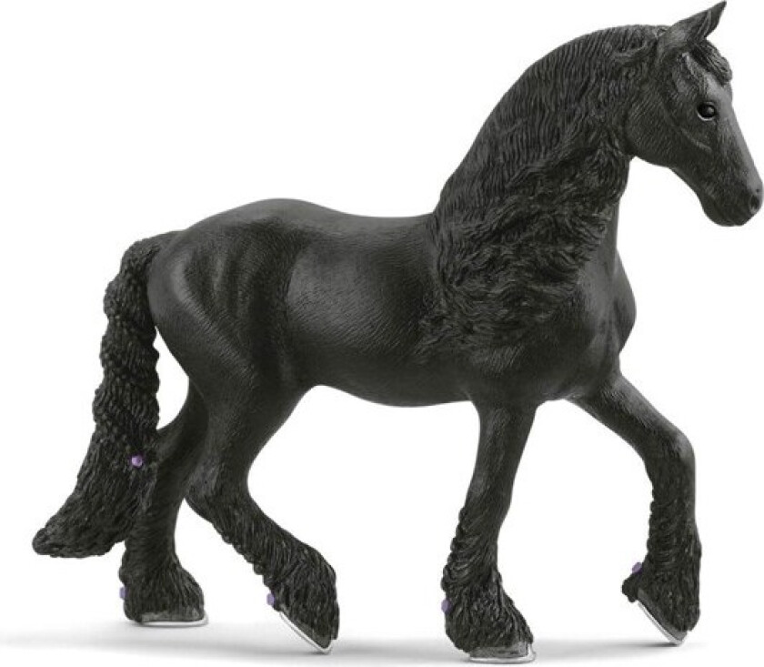 Frisian Mare