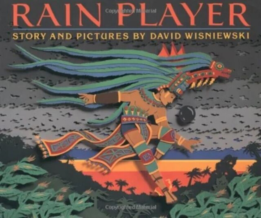 Rain Player av David Wisniewski