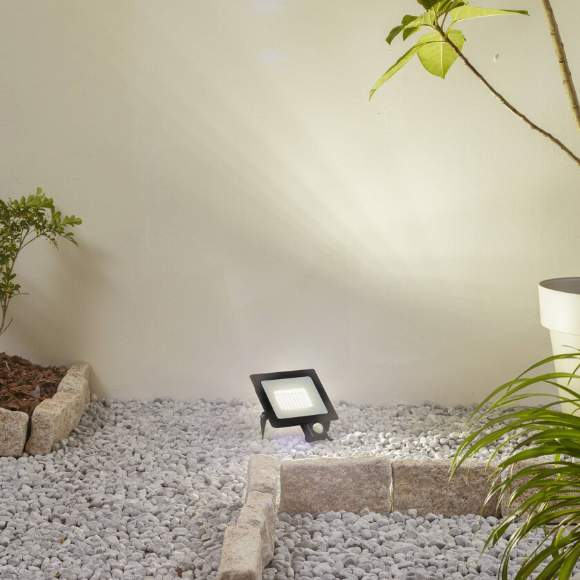 Prios LED utendørs spotlight Maikel, 50W, 4000lm, aluminium, sensor