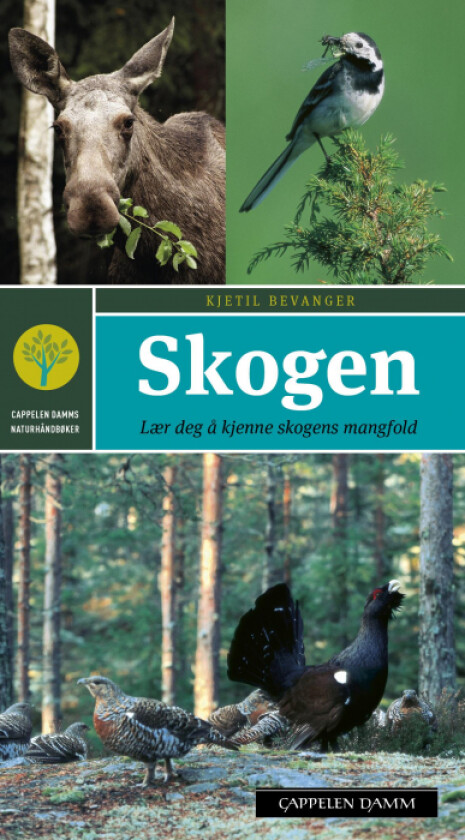 Skogen av Kjetil Bevanger