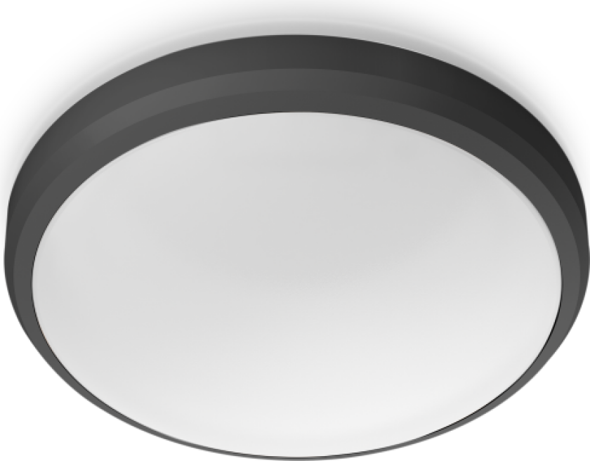 Doris Taklampe 6W 4000K Ø22cm IP54, sort