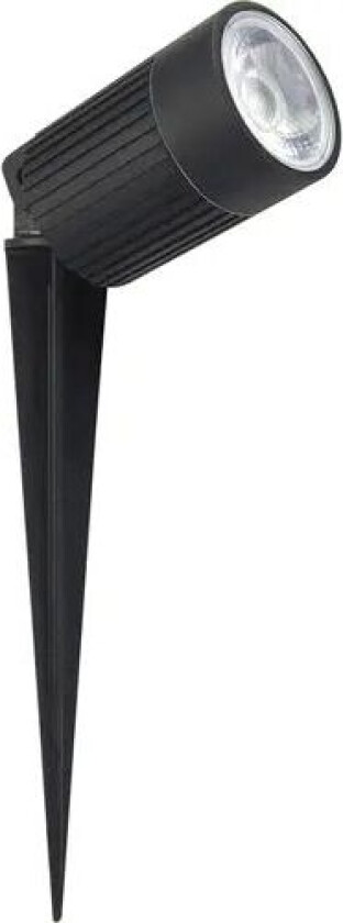 Medusa Markspot Med Fargefilter