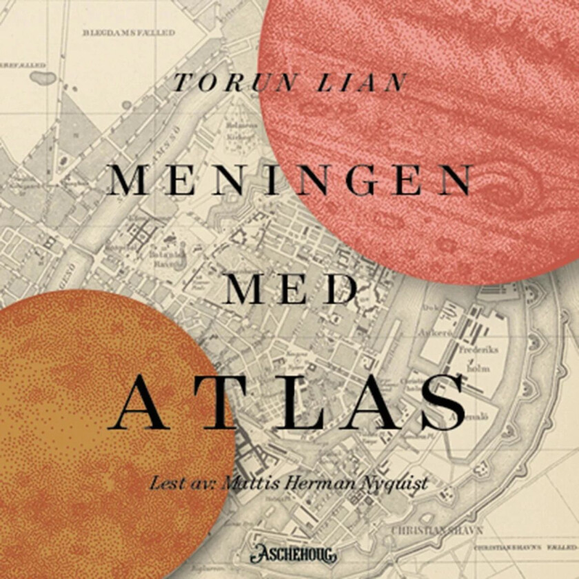 Meningen med Atlas av Torun Lian