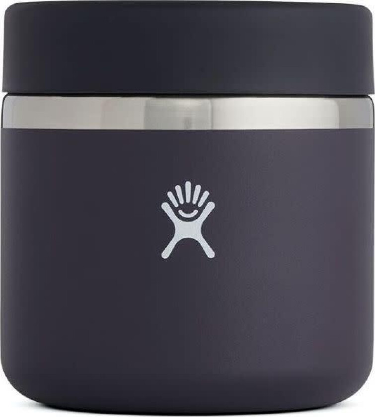 20 Oz Insulated Food Jar Blackberry 591 ML
