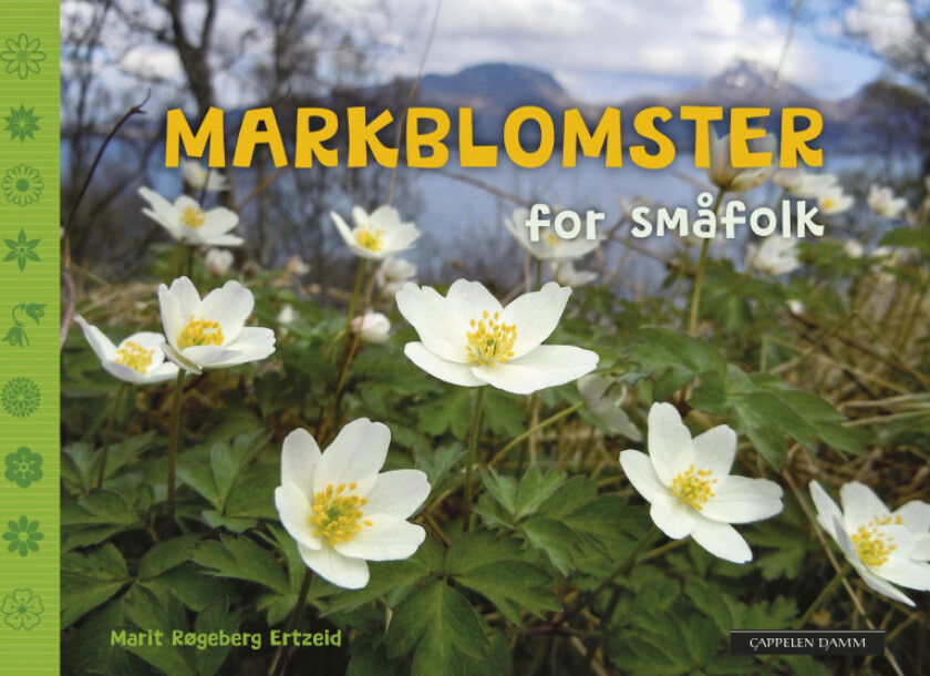 Markblomster for småfolk av Marit Røgeberg Ertzeid