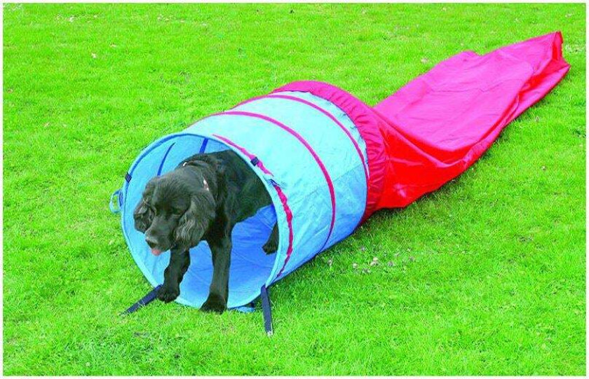 Bilde av Agility Tunnel 5M