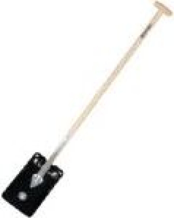 Bilde av Galax dame spade