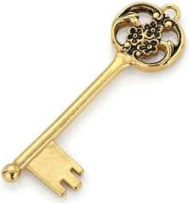 Bilde av Løkenbunad, Nøkkel i 925 forgylt sølv