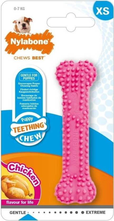 Nylabone Puppy Teething Dental Chew Rosa