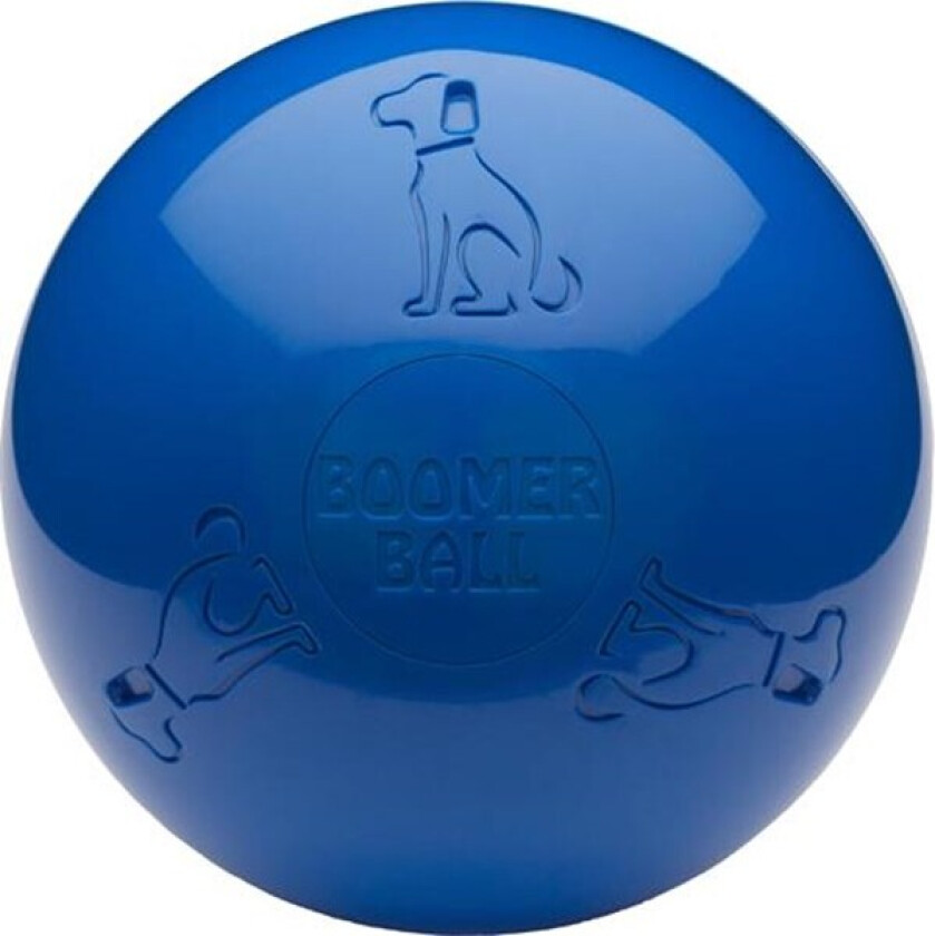 Company of Animals Boomer Ball (200 mm)
