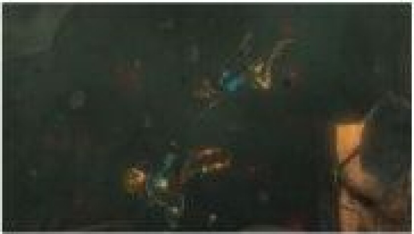 The Legend of Zelda Tears of the Kingdom - Switch