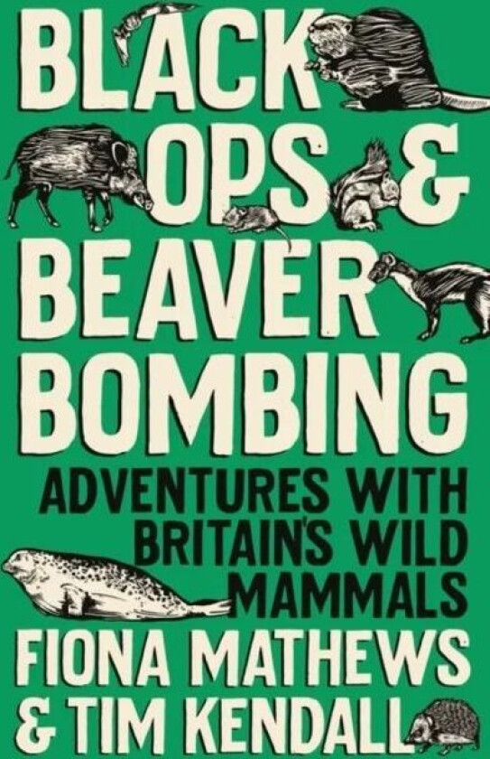 Black Ops and Beaver Bombing av Fiona Mathews, Tim Kendall