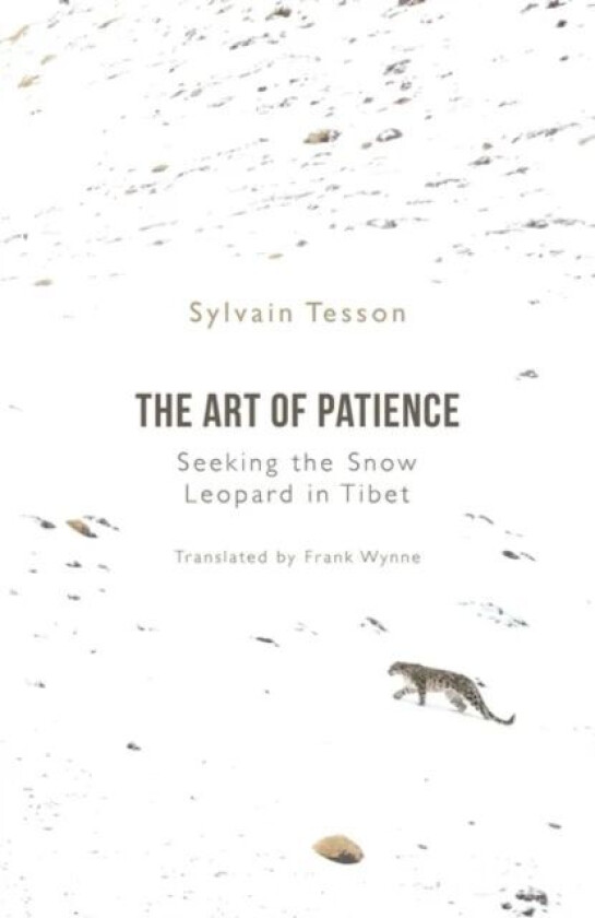 The Art of Patience av Sylvain Tesson