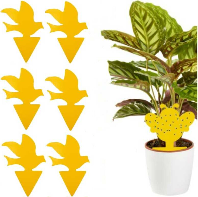 Klistrefelle for skadedyr på potteplanter 100-pak Gul