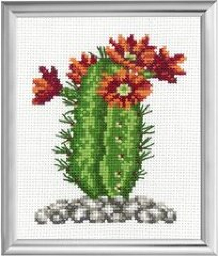 Broderisett Aida Kaktus Oransje 10x12cm