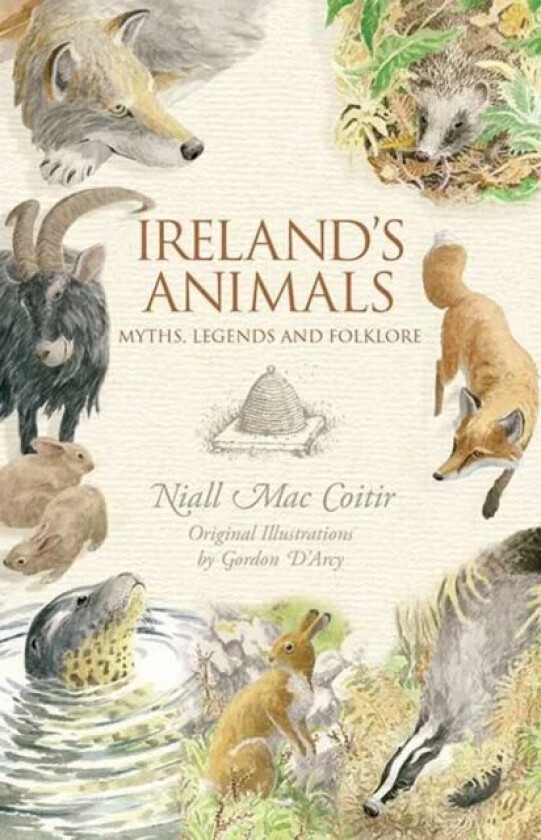 Ireland's Animals av Niall Mac Coitir