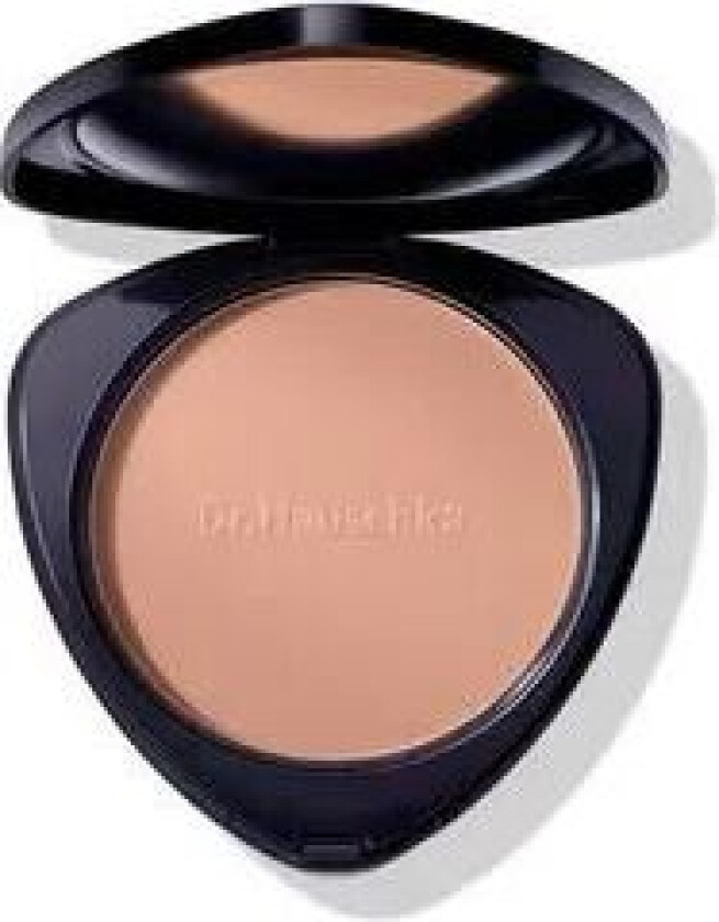 Bronzing Powder 01 Bronze