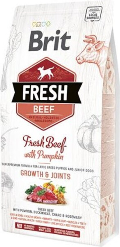 Brit Fresh Beef with Pumpkin Puppy Large (2,5 kg)