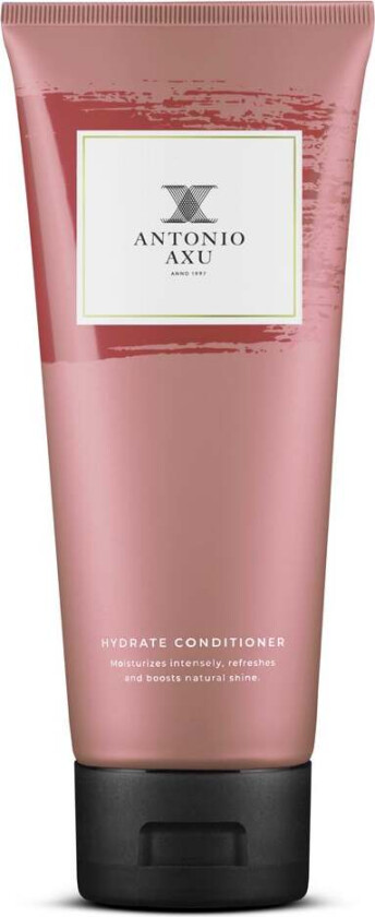 Hydrate Conditioner 200 ml