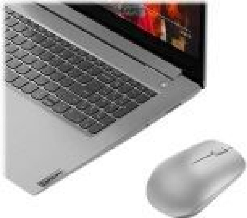530 Wireless Mouse - Mus - høyre- og venstrehåndet - optisk - 3 knapper - trådløs - 2.4 GHz - USB trådløs mottaker - platinagrå