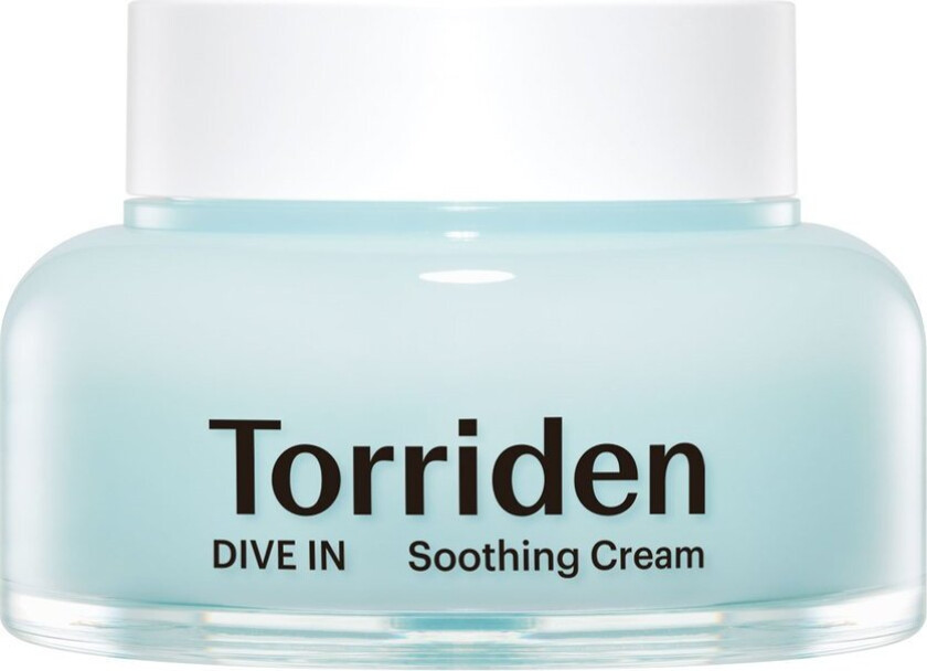 DIVE-IN Low Molecular Hyaluronic Acid Soothing Cream 100