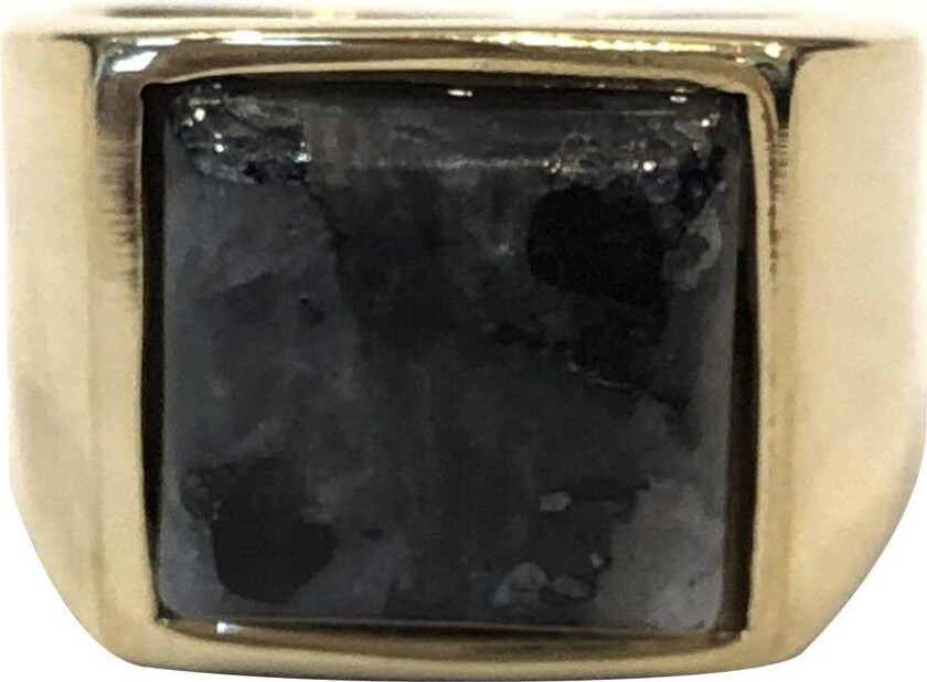 DARK Signet Ring Gold With Grey Marble Size 1