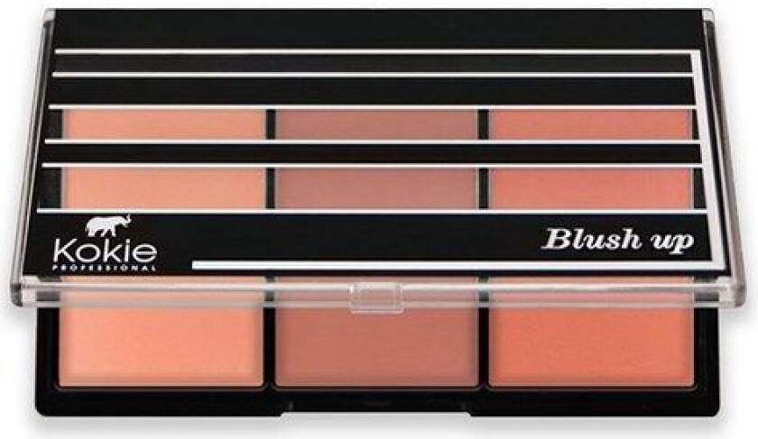 Blush Up Blush Palette Blushing