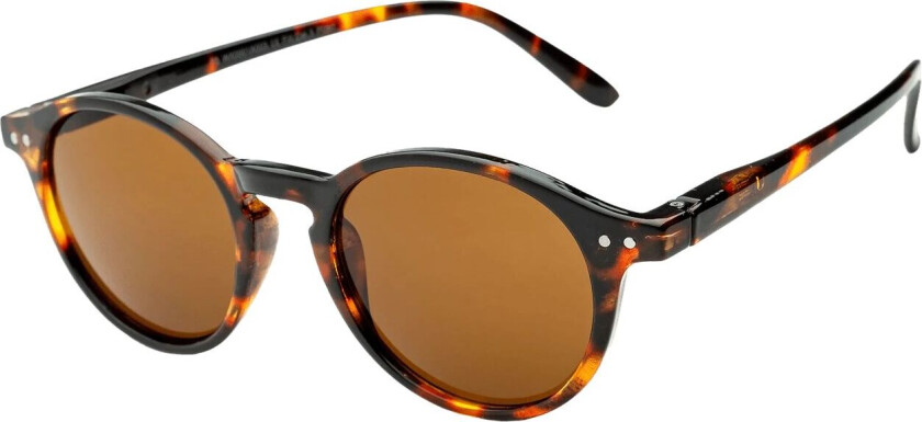 017 Demibrown W Brown Lens, solbriller, unisex Demibrown/Brown Lens