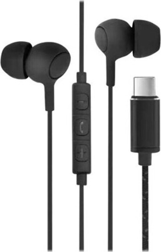 C10 - earphones with mic