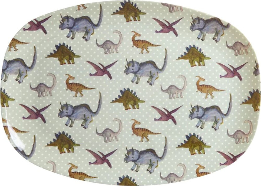 New Dino Print Melamin Børnetallerken