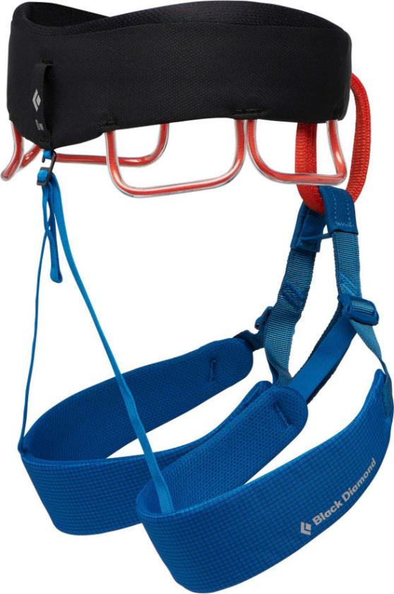 Black Diamond Men's Momentum Harness Kingfisher XXL, Kingfisher