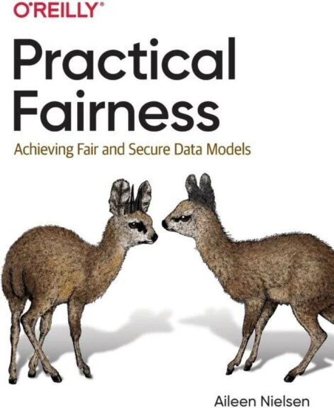 Practical Fairness av Aileen Nielsen
