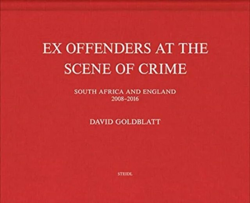David Goldblatt: Ex Offenders av David Goldblatt