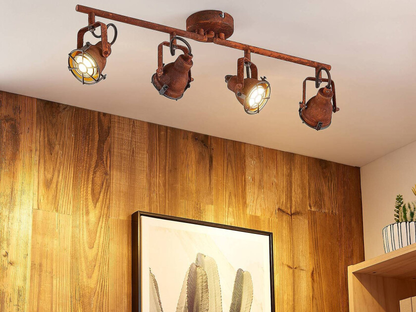 Scabra takspot rustutseende, 4 lyskilder