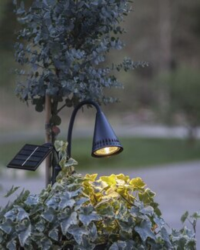 Spotlight solcellebelysning Svart